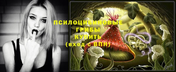 мескалин Новодвинск