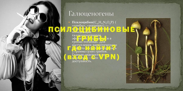 мескалин Новодвинск