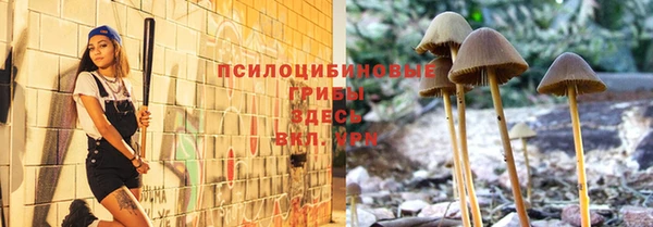 мескалин Новодвинск