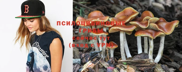 альфа пвп Новозыбков