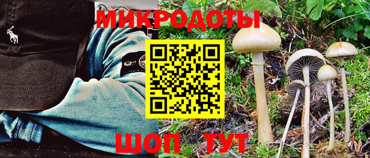 Галлюциногенные грибы Psilocybe  Вход с VPN  цена наркотик  Троицк 